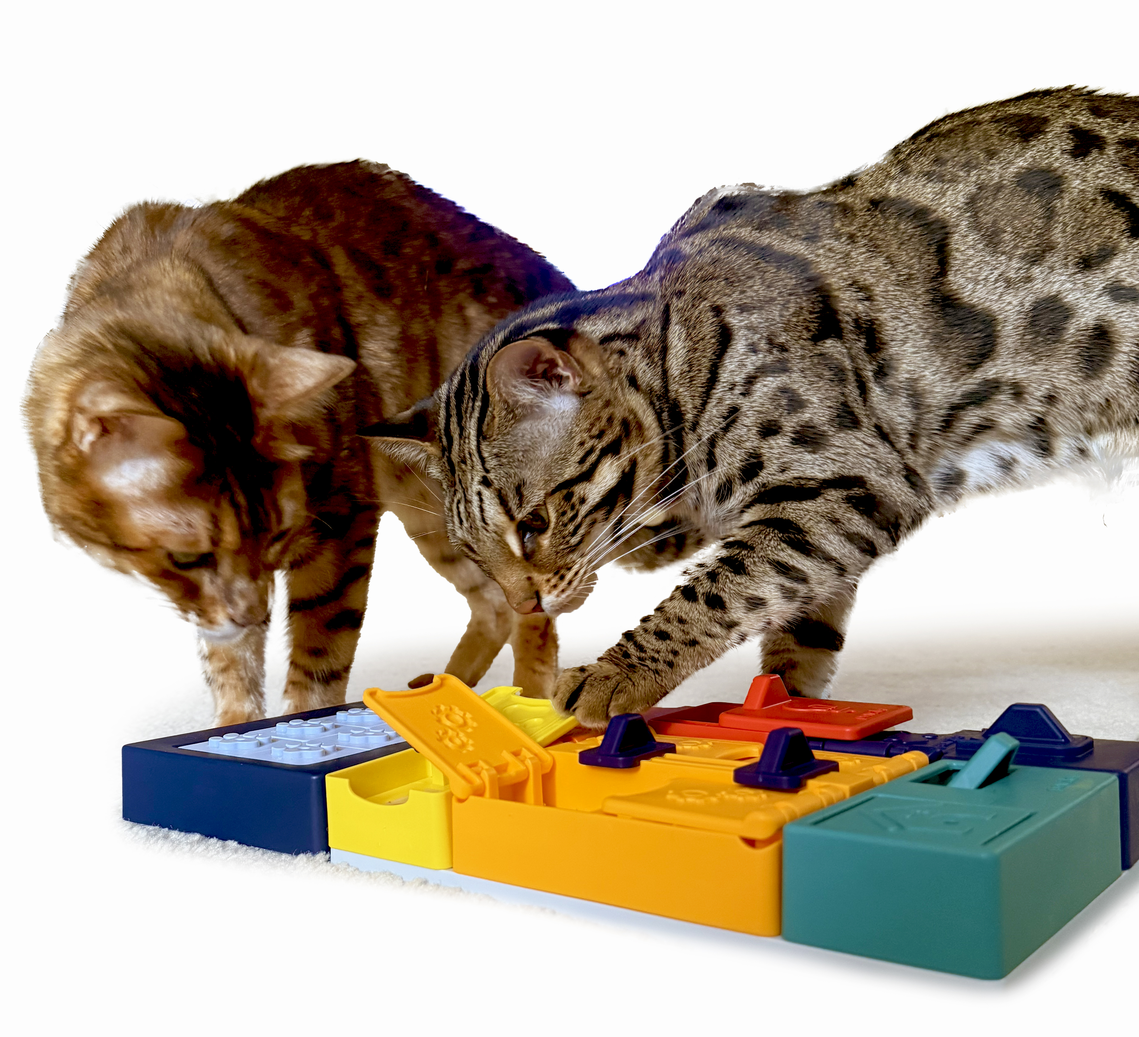 puzzles for pet enrichment puzzles for pet enrichment