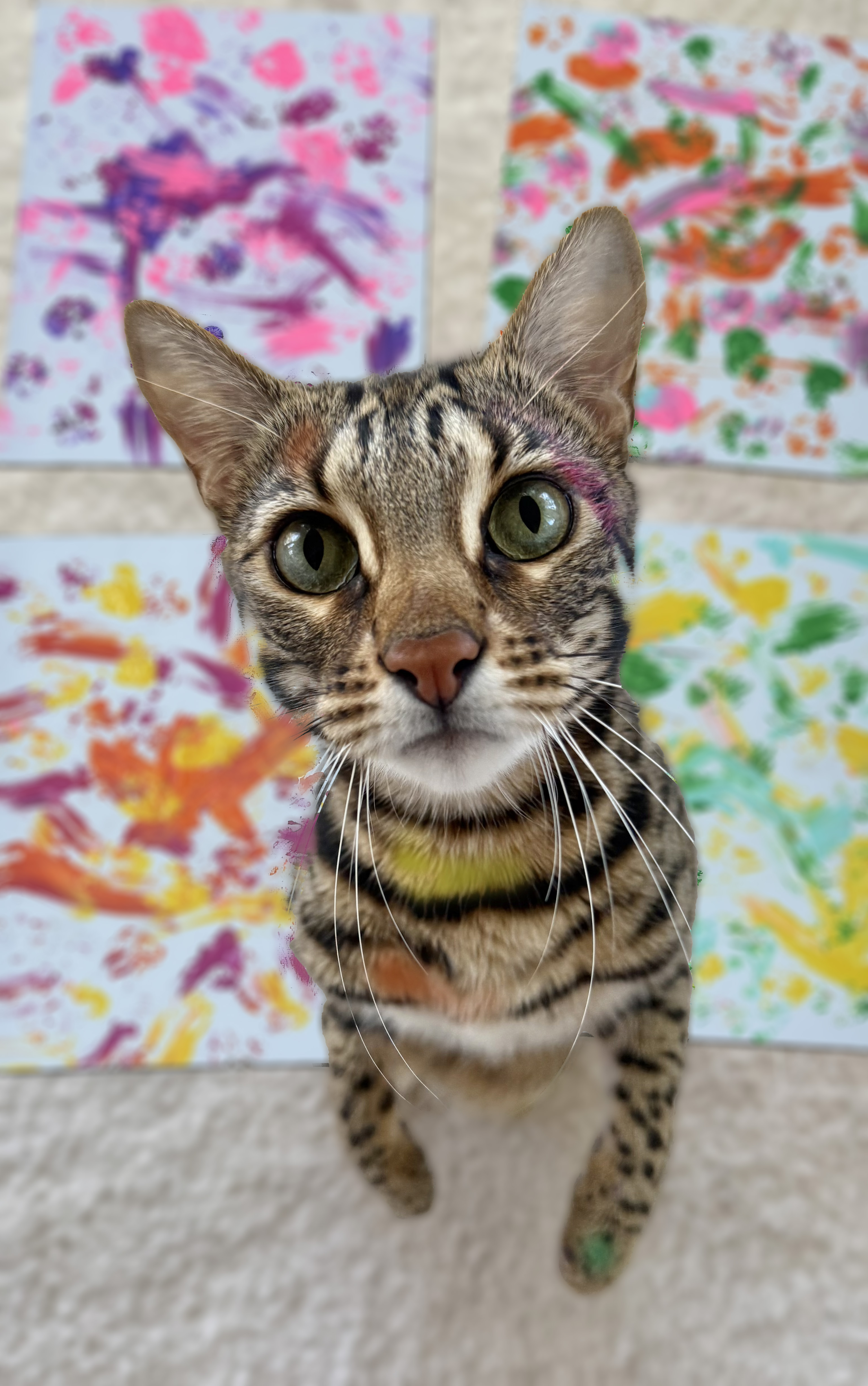 cat painting