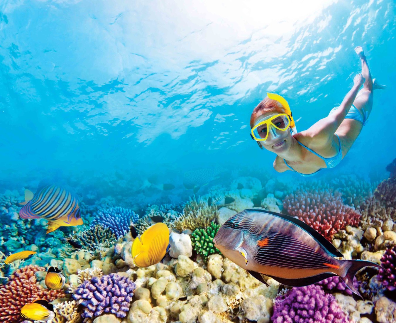 Xcaret & Adventure Parks