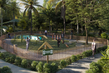 Imagen 6