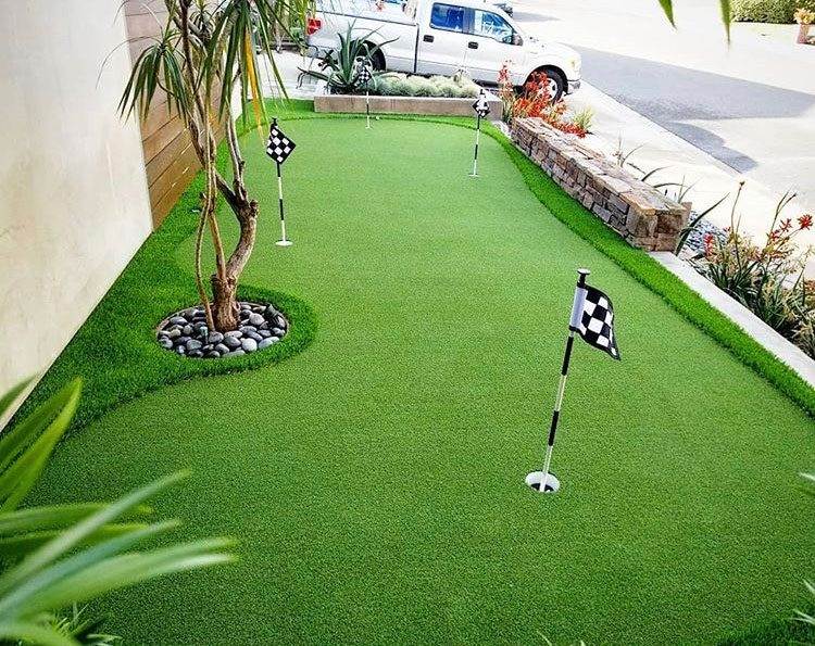 Arizona Backyard Transformation