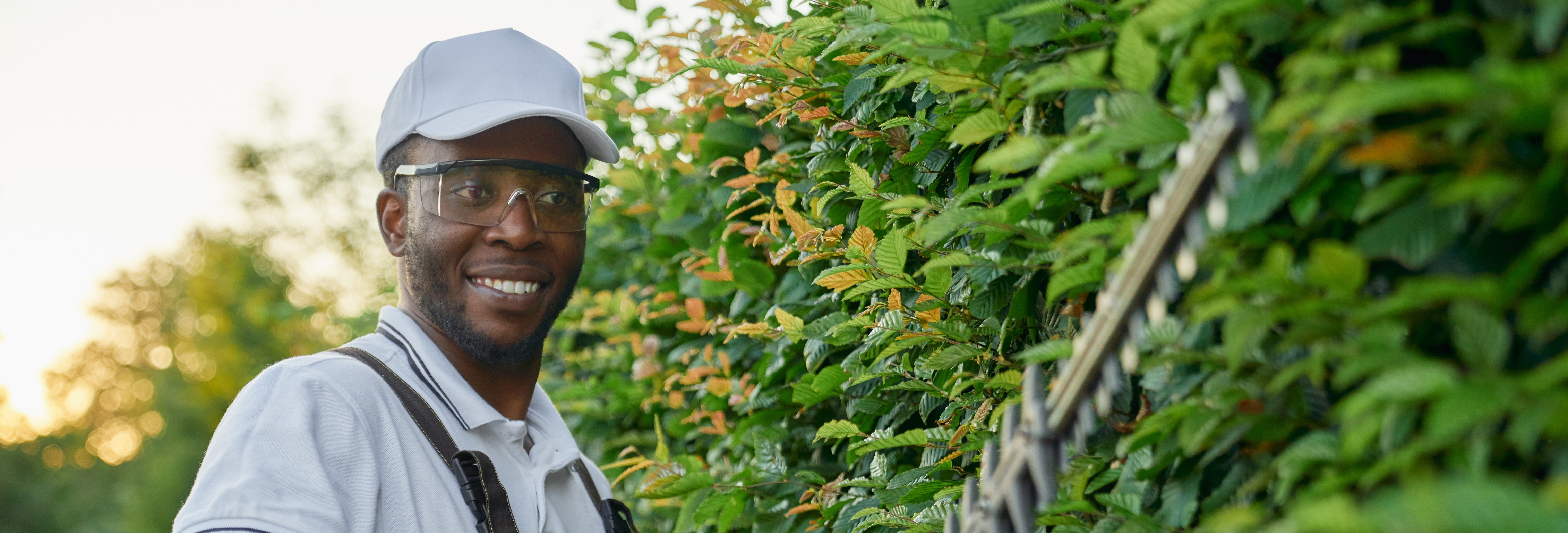 Lawn Care Employee Trimming a Hedge Lawn Care Employee Trimming a Hedge