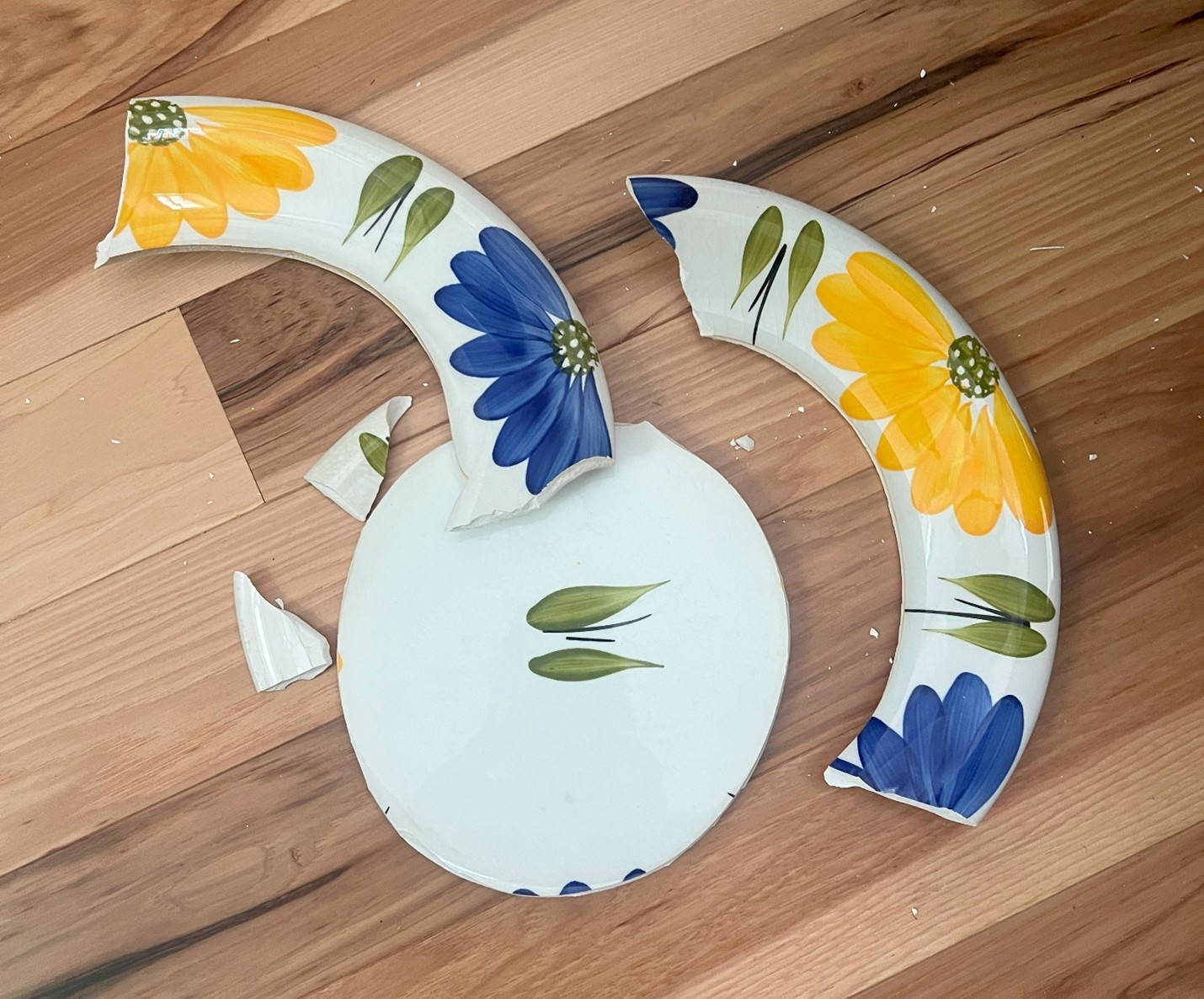 Broken Plate Broken Plate