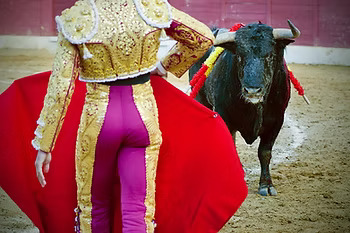 Matador