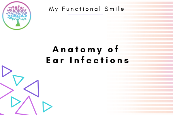 Ear anatomy Ear anatomy