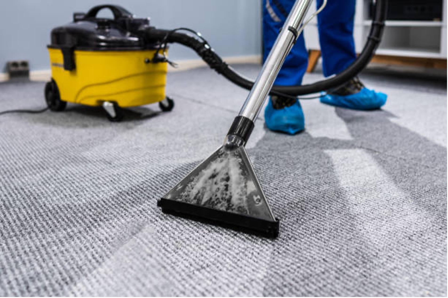 Professional Carpet Cleaning Oxnard,CA Professional Carpet Cleaning Oxnard,CA