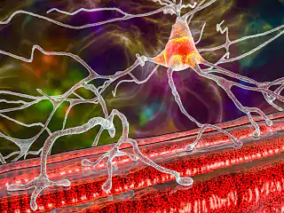 cells cells