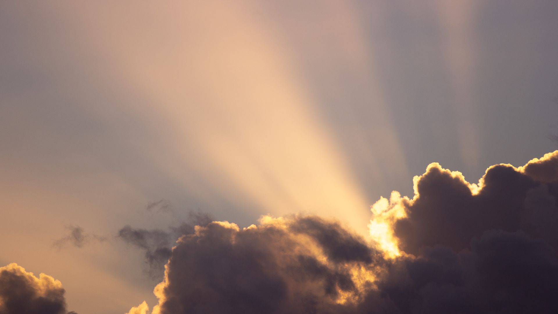 Breaking through the Fog