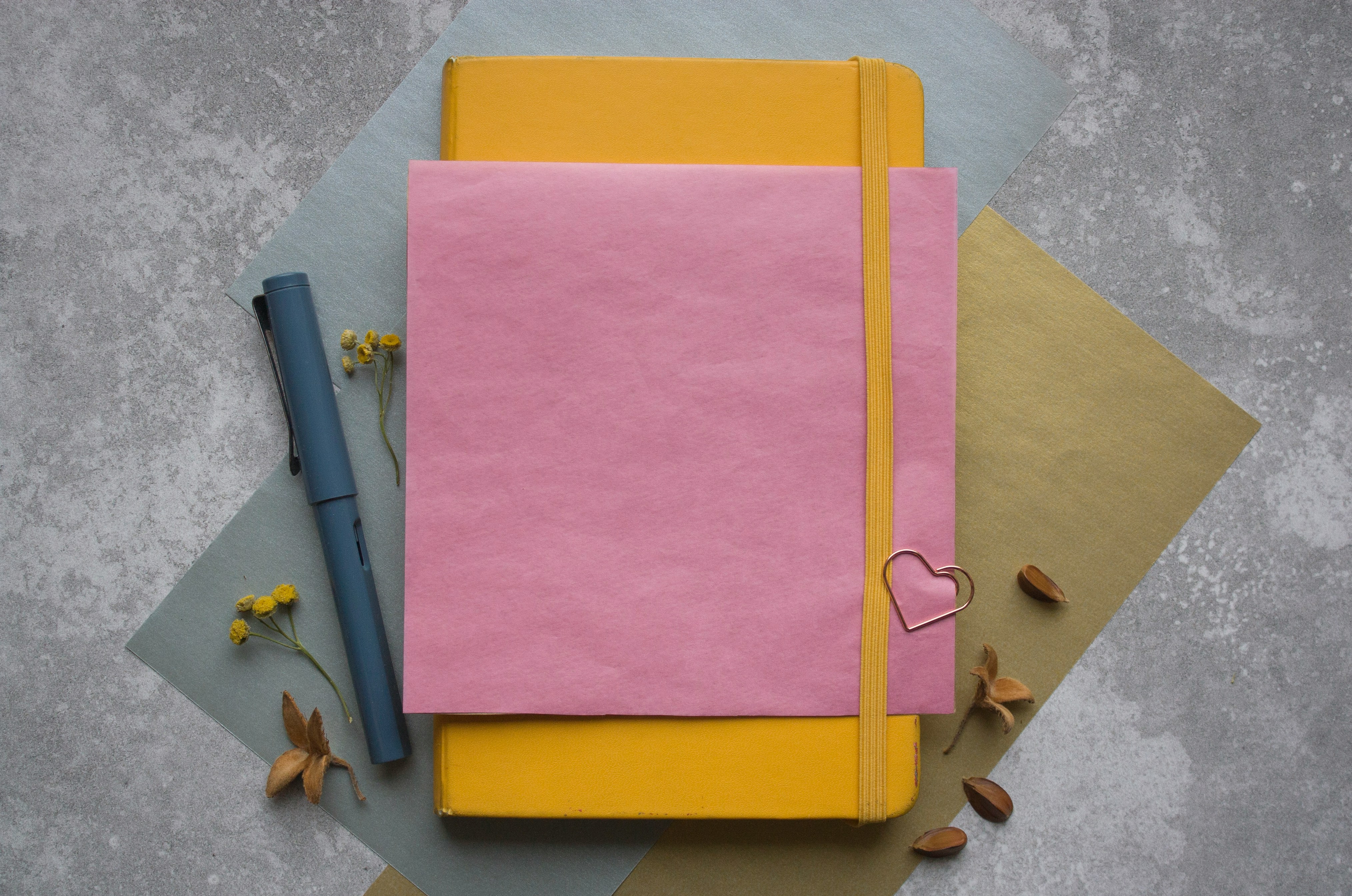 Nicole Whisler Edits Novel Writing