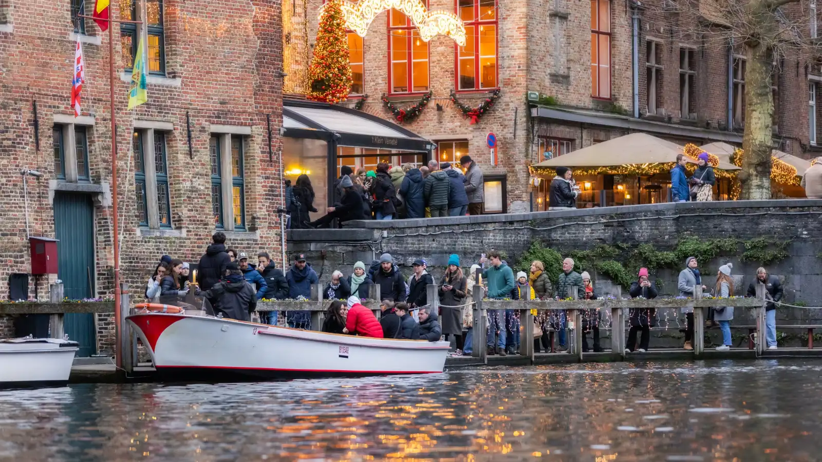 بلجيكا بلجيكا