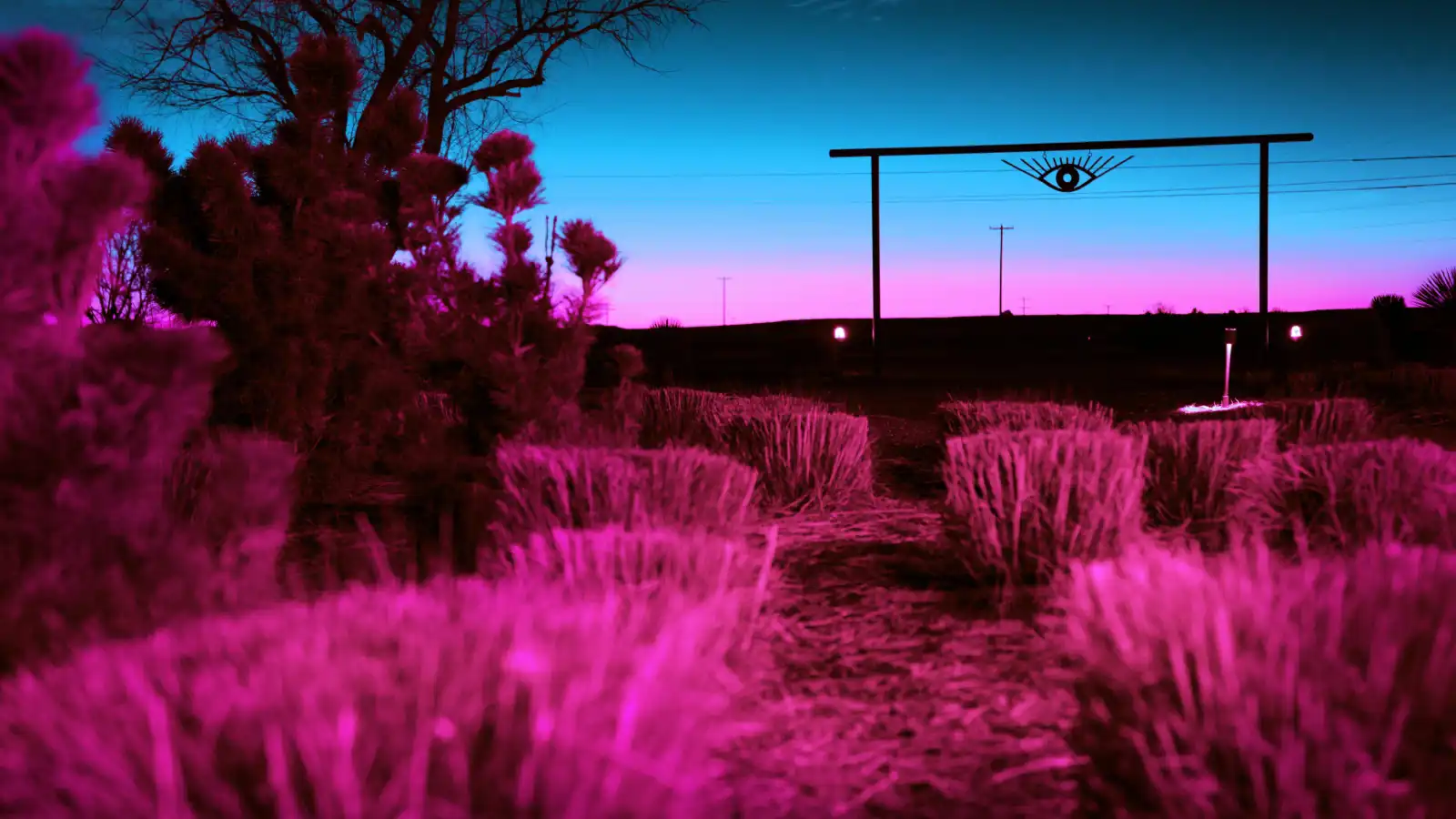 مارفا مارفا