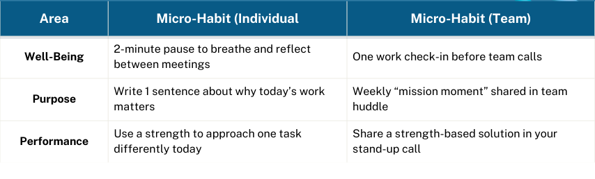 Micro-habits in practice