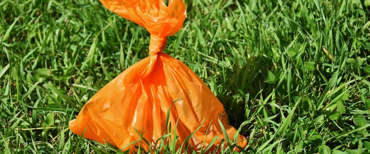 Bright orange dog waste bag tied and placed on green grass.