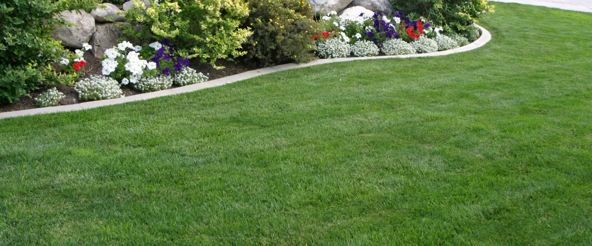Well-maintained green lawn with a curved flower bed border