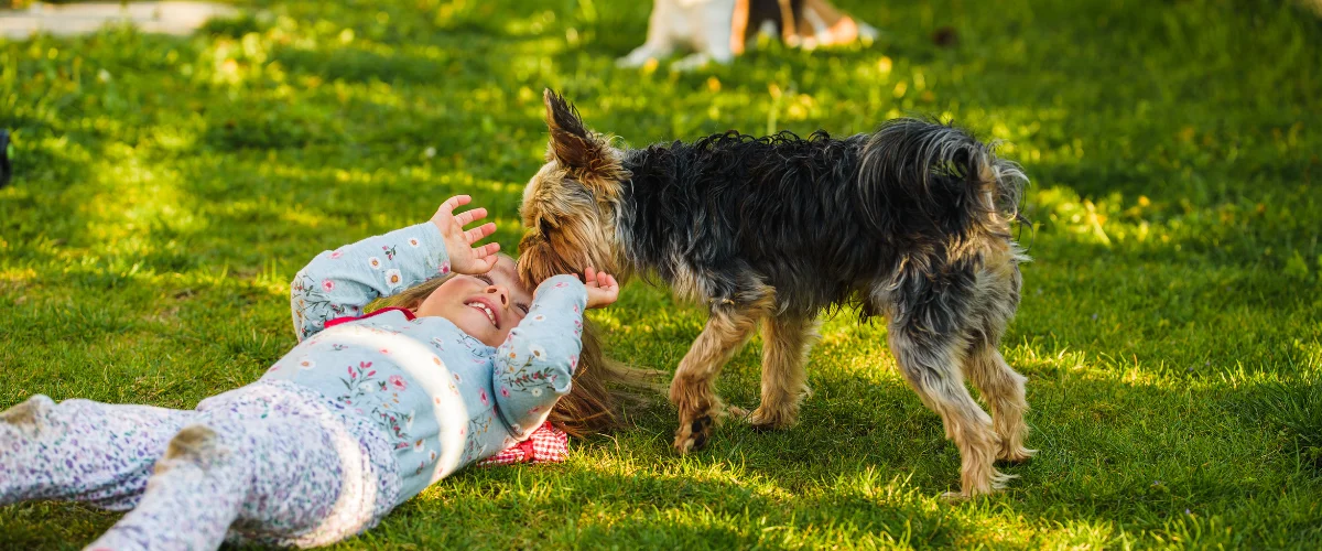Young child lying on grass playing with a small dog outdoors.
