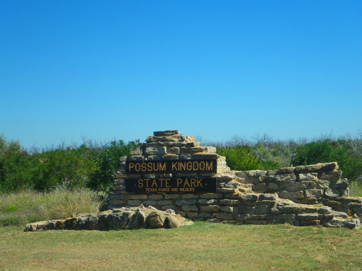 Spring wildflowers blooming along rocky shoreline at Texas lake campground