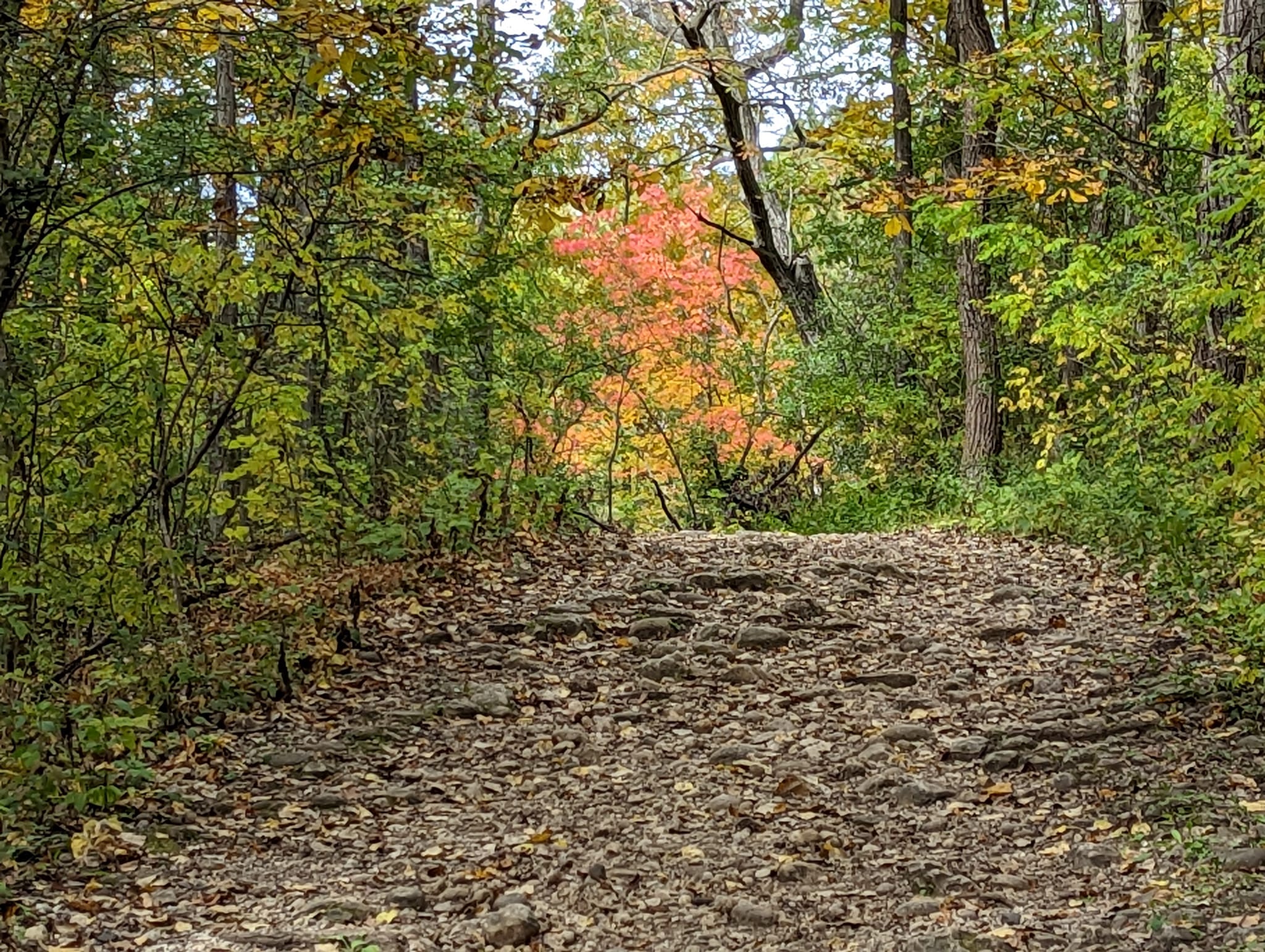 Scuppernong Trail