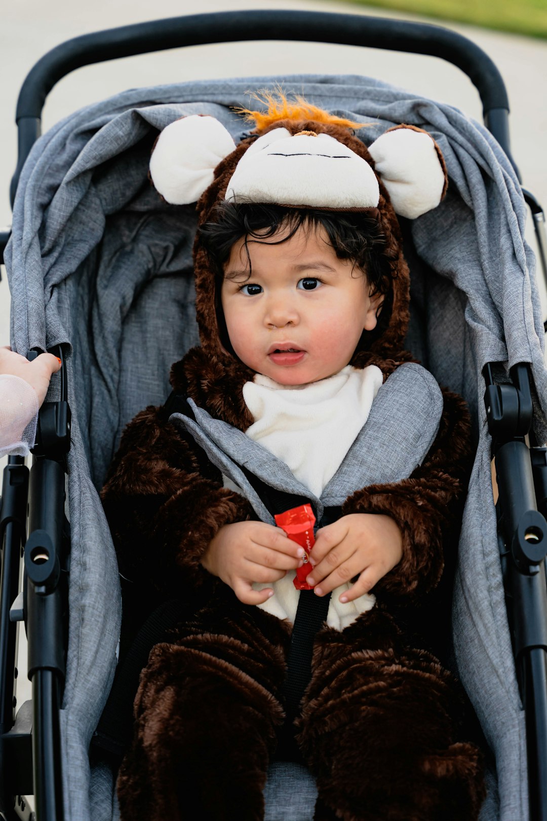 Where Should My Toddler Nap During The Day
