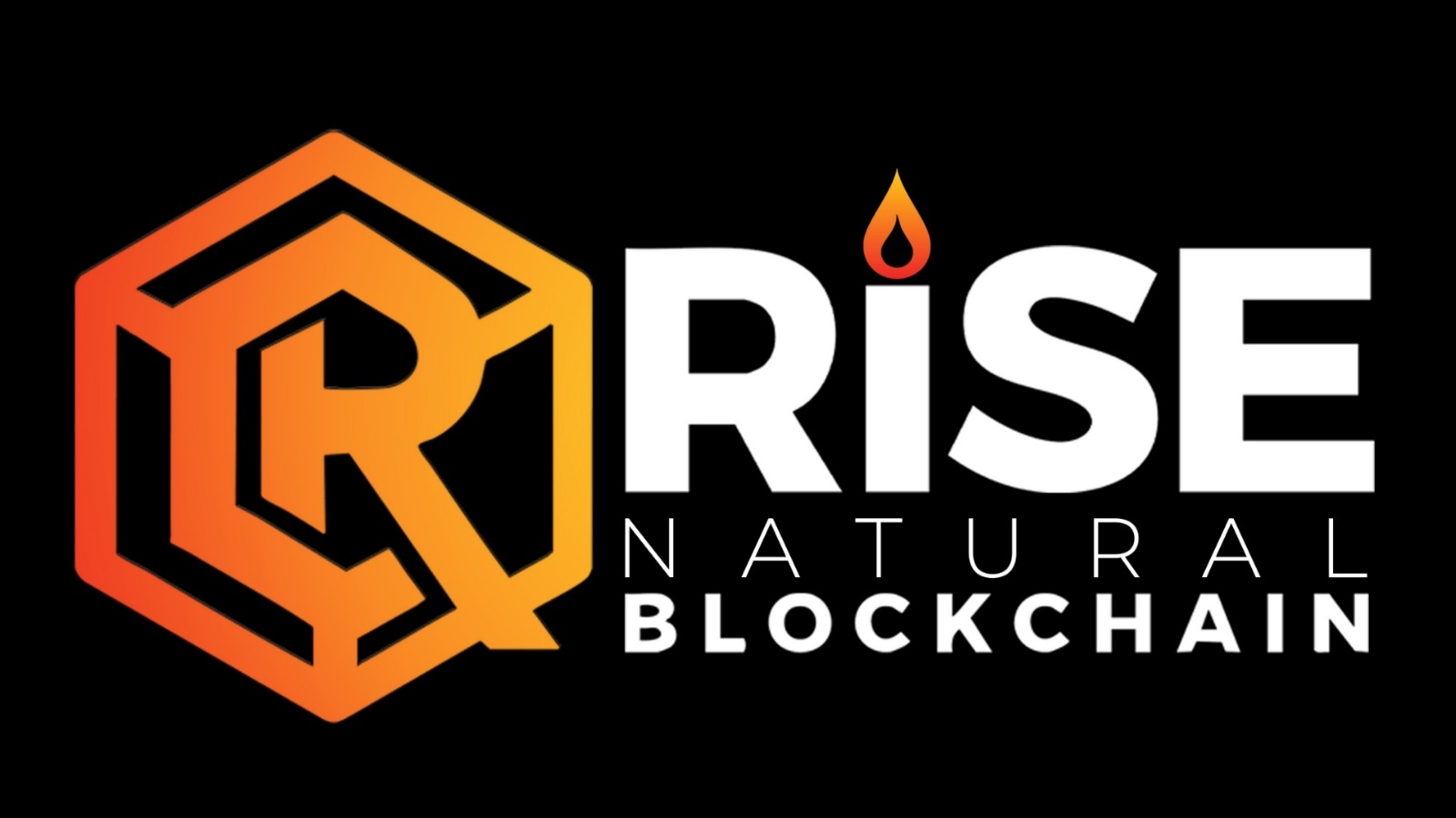 Rise Natural Block Chain logo