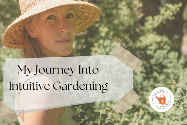 mother gardeners intuitive gardening journey mother gardeners intuitive gardening journey