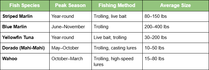 Popular Fish Species and Best Seasons Popular Fish Species and Best Seasons