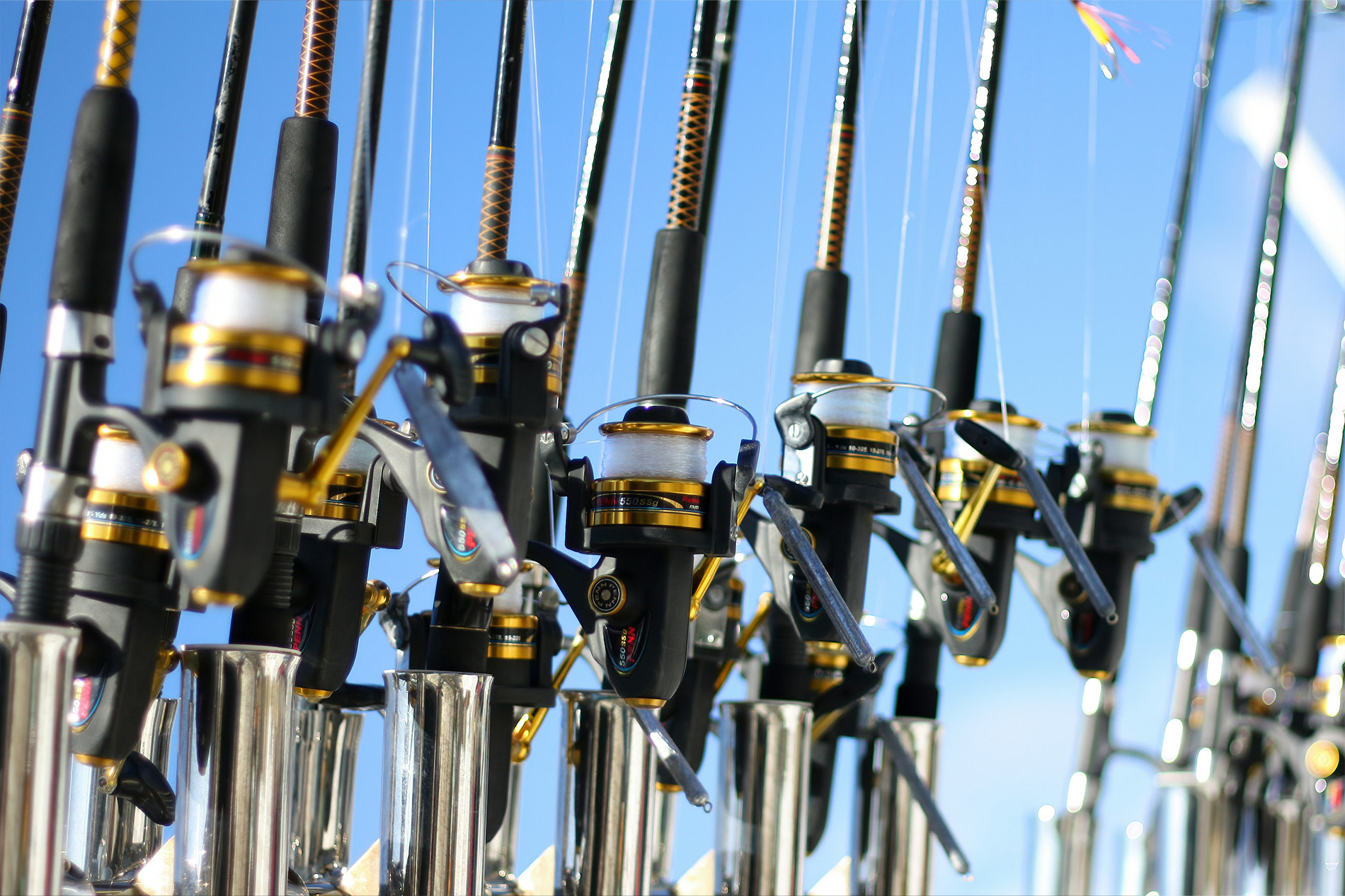 book with confidence your next fishing charter in Los Cabos book with confidence your next fishing charter in Los Cabos