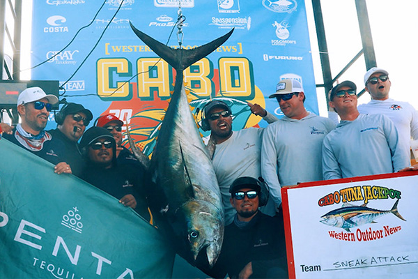 cabo tuna fishing cabo tuna fishing