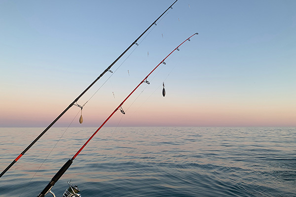 book fishing charter services for Los Cabos Adventure book fishing charter services for Los Cabos Adventure