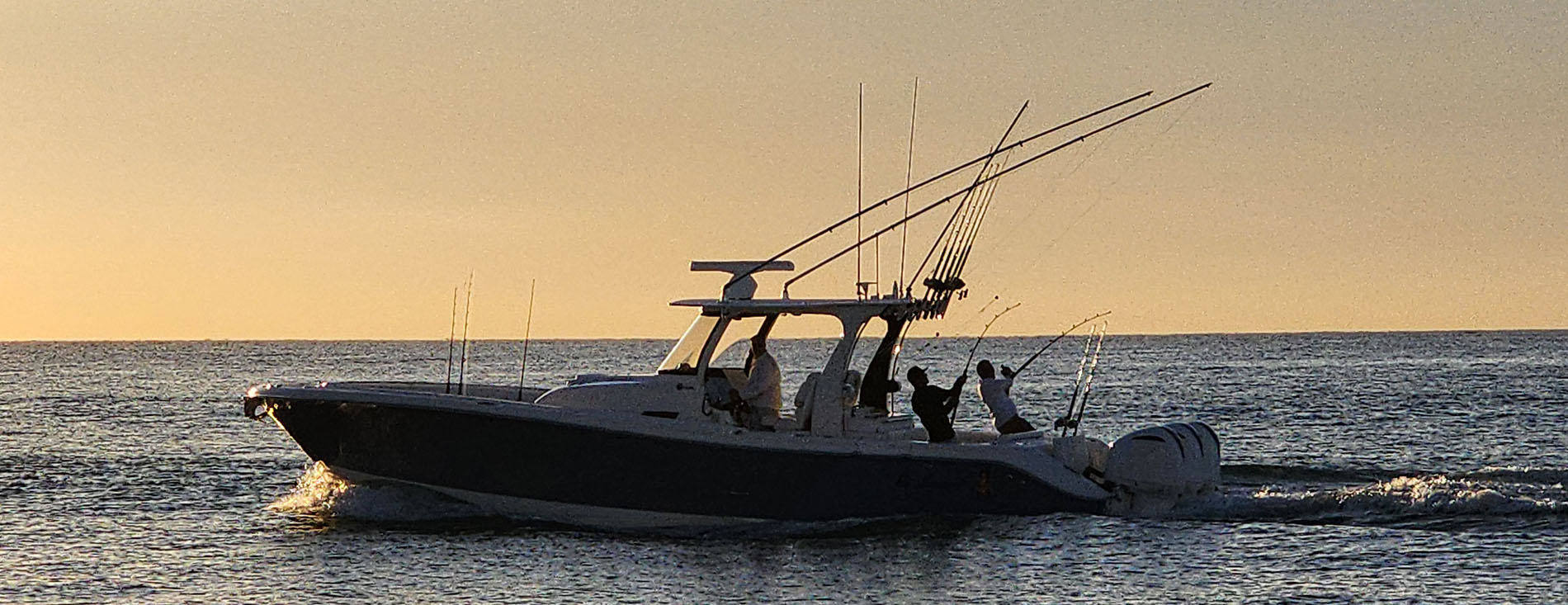 Los Cabos Fishing Calendar 2025 Why Epic Ventures Los Cabos Fishing Calendar 2025 Why Epic Ventures