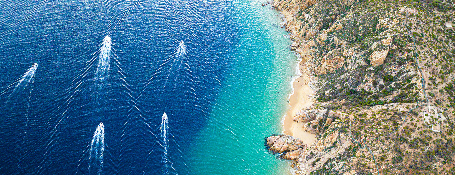 book your cabo charter fishing adventure book your cabo charter fishing adventure