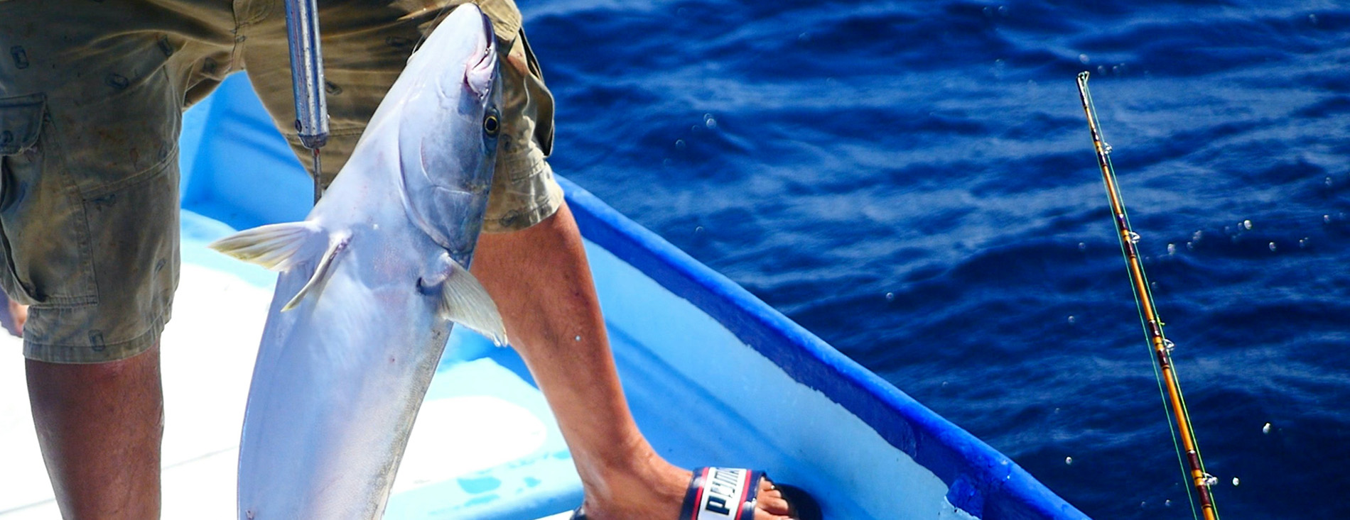 More Than Fishing: The Cabo Experience More Than Fishing: The Cabo Experience