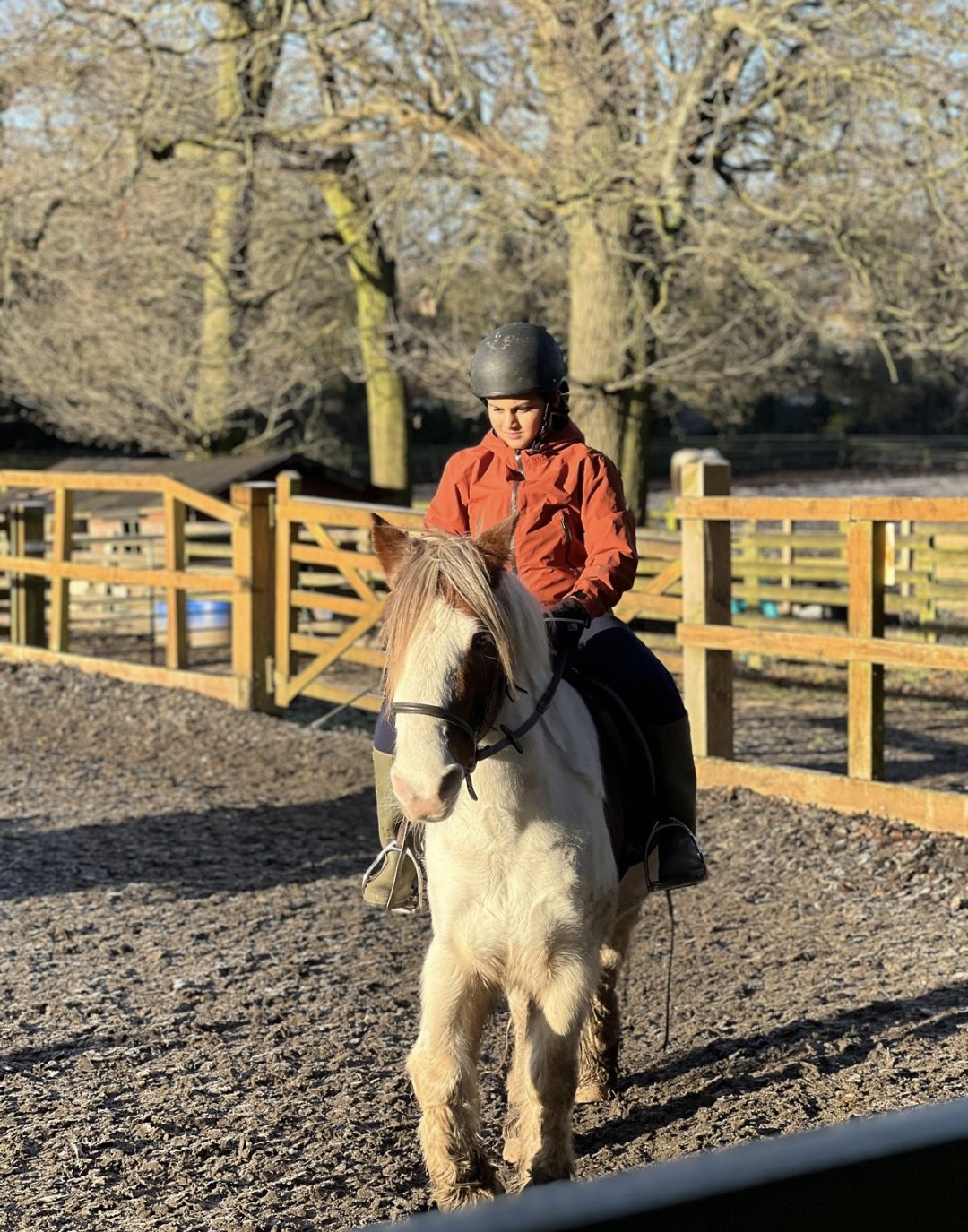 child riding horse child riding horse