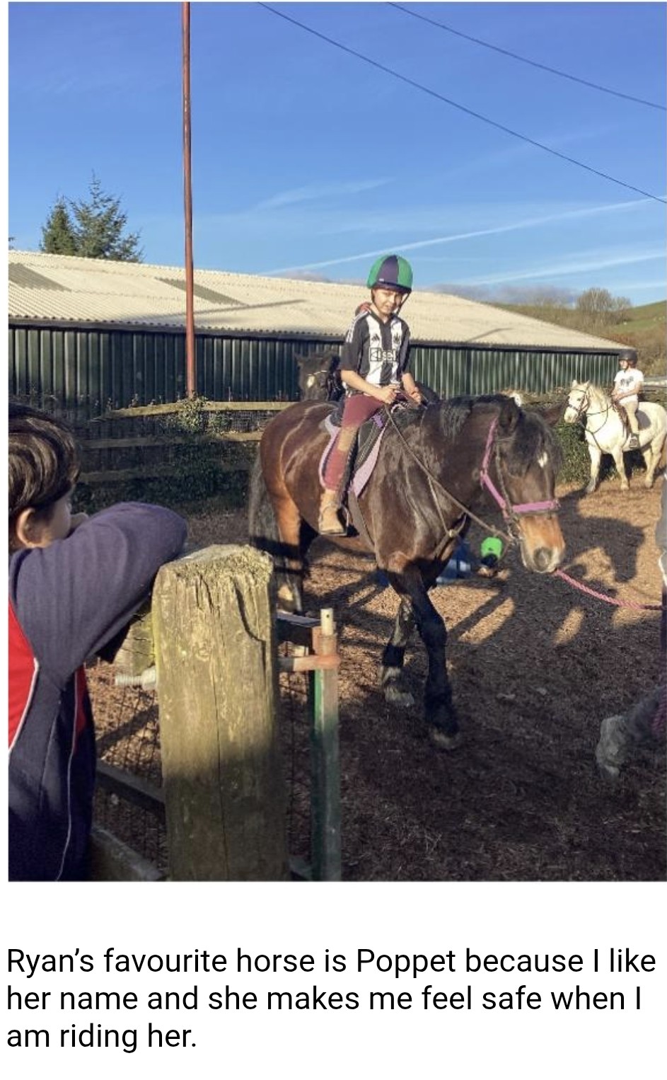 pony pony
