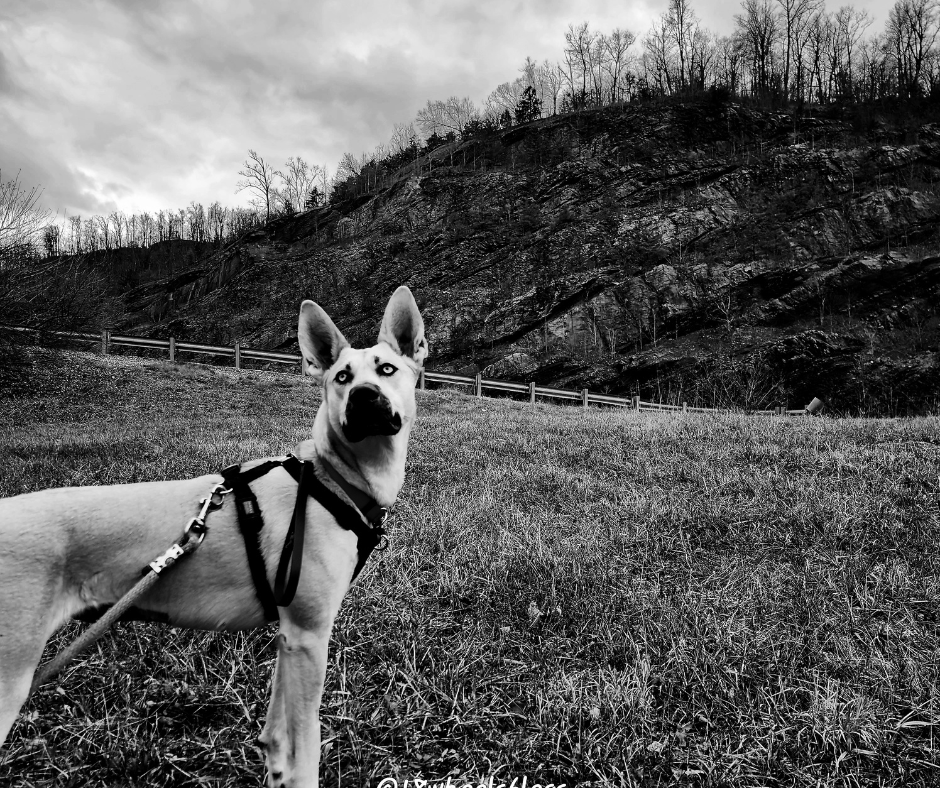 Hiking at a truck stop trail