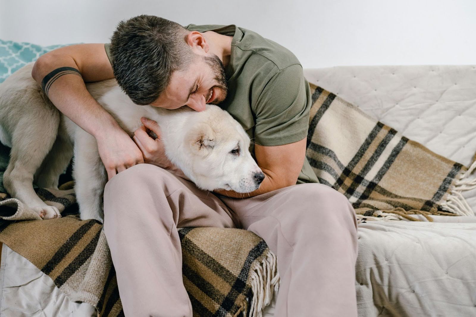 Owner bonding with his dog Owner bonding with his dog