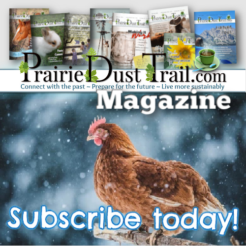 Subscribe to the Prairie Dust Trail magazine for bible-based sustainable living, farm life, natural homemaking, home education and more!