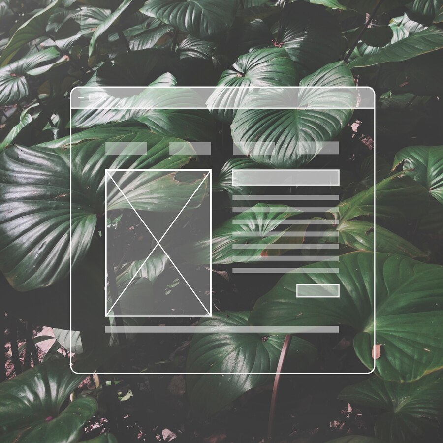 creer une newsletter pour fidéliser ses clients et booster sa visibilité