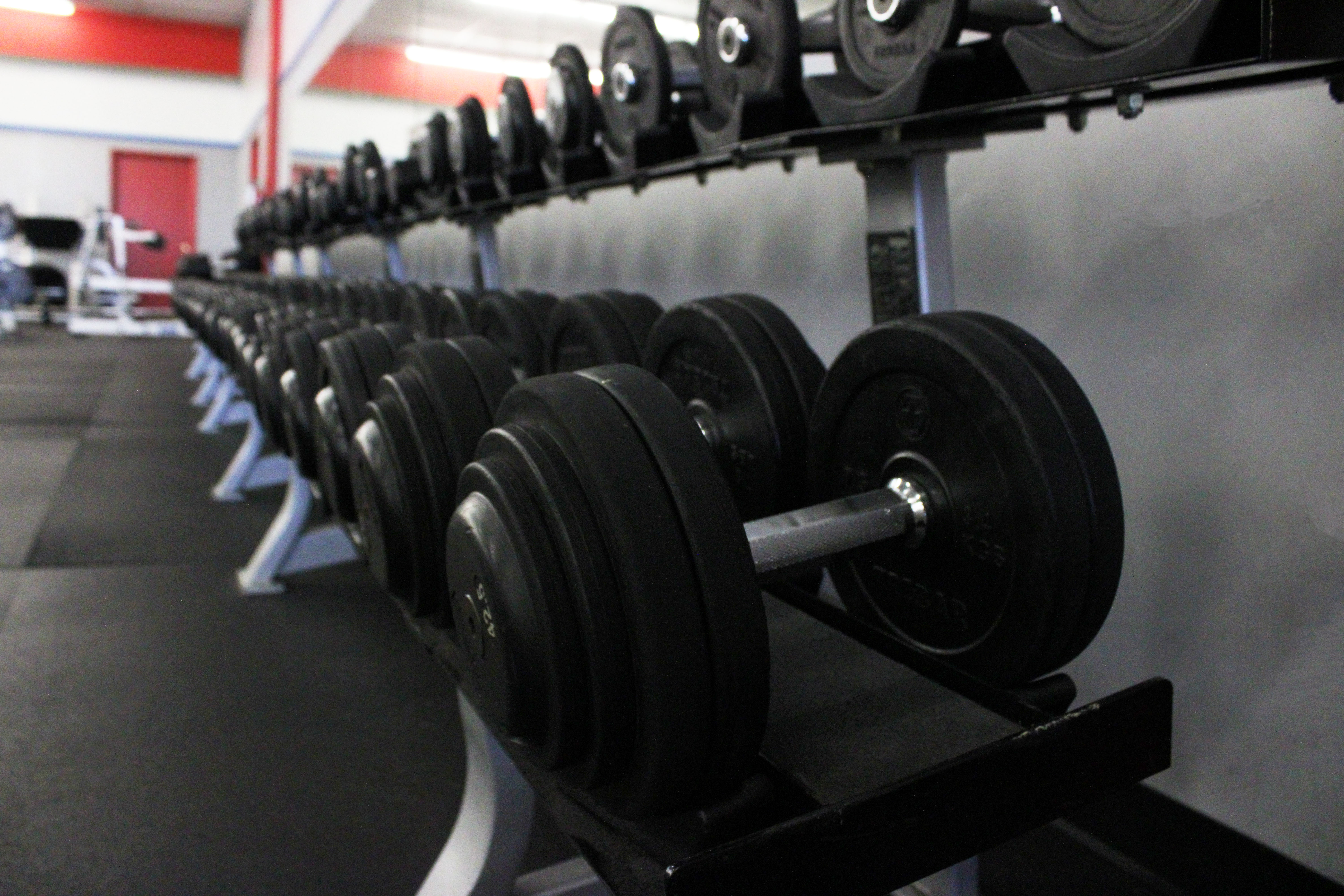 Open Gym Access