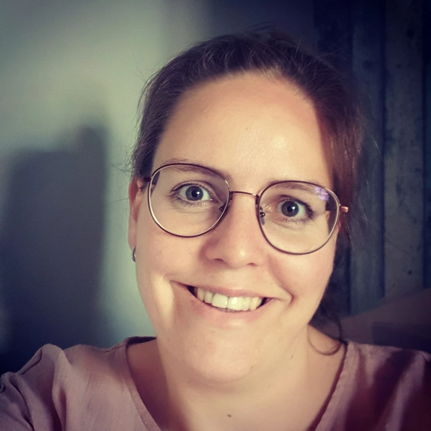 De Geheime Sloddervos