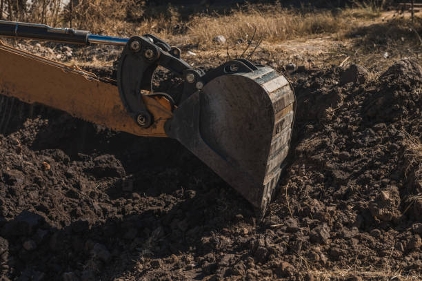 Preparing Land in New Mexico for Construction

