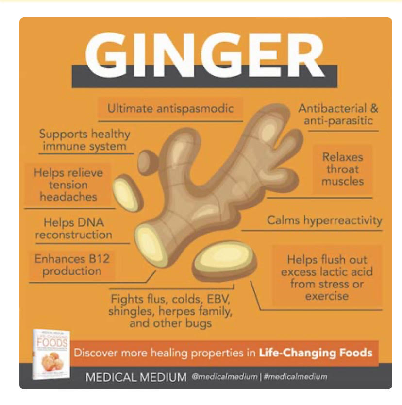 Ginger