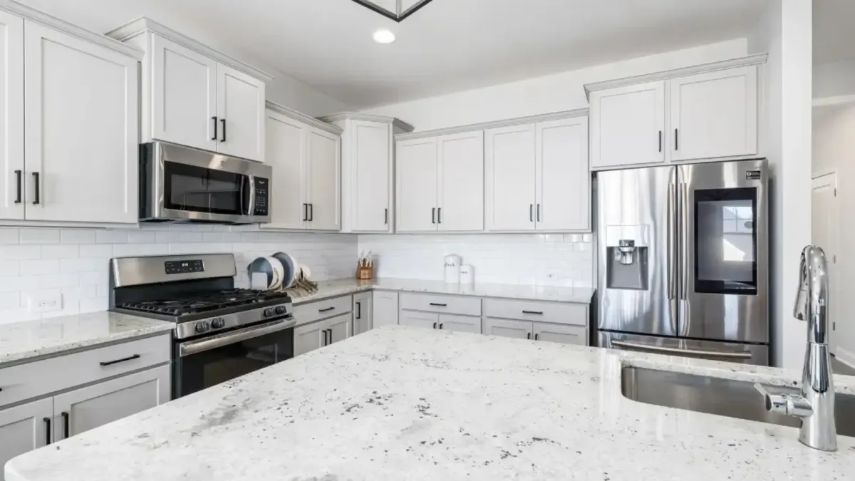 Granite in silver vein Granite in silver vein