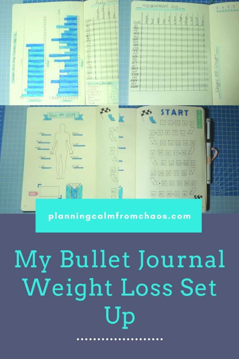 my bullet journal weight loss set up
