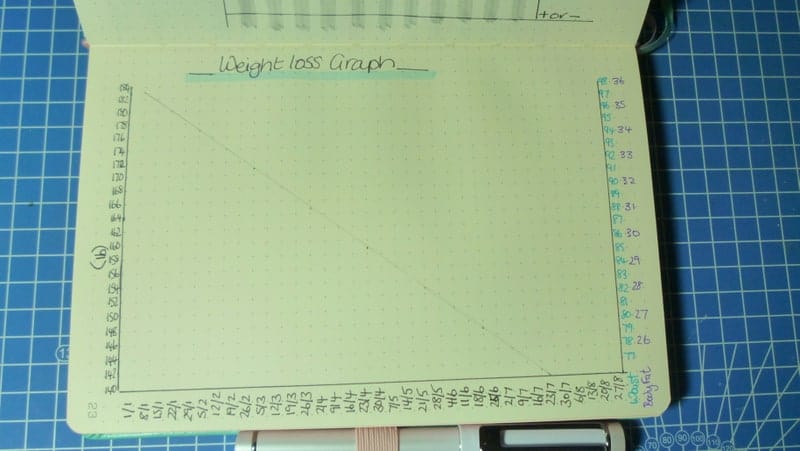 bullet journal weight loss graph