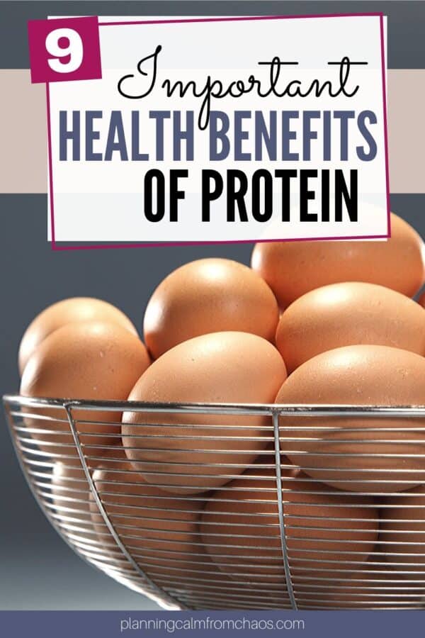 what are the benefits of protein