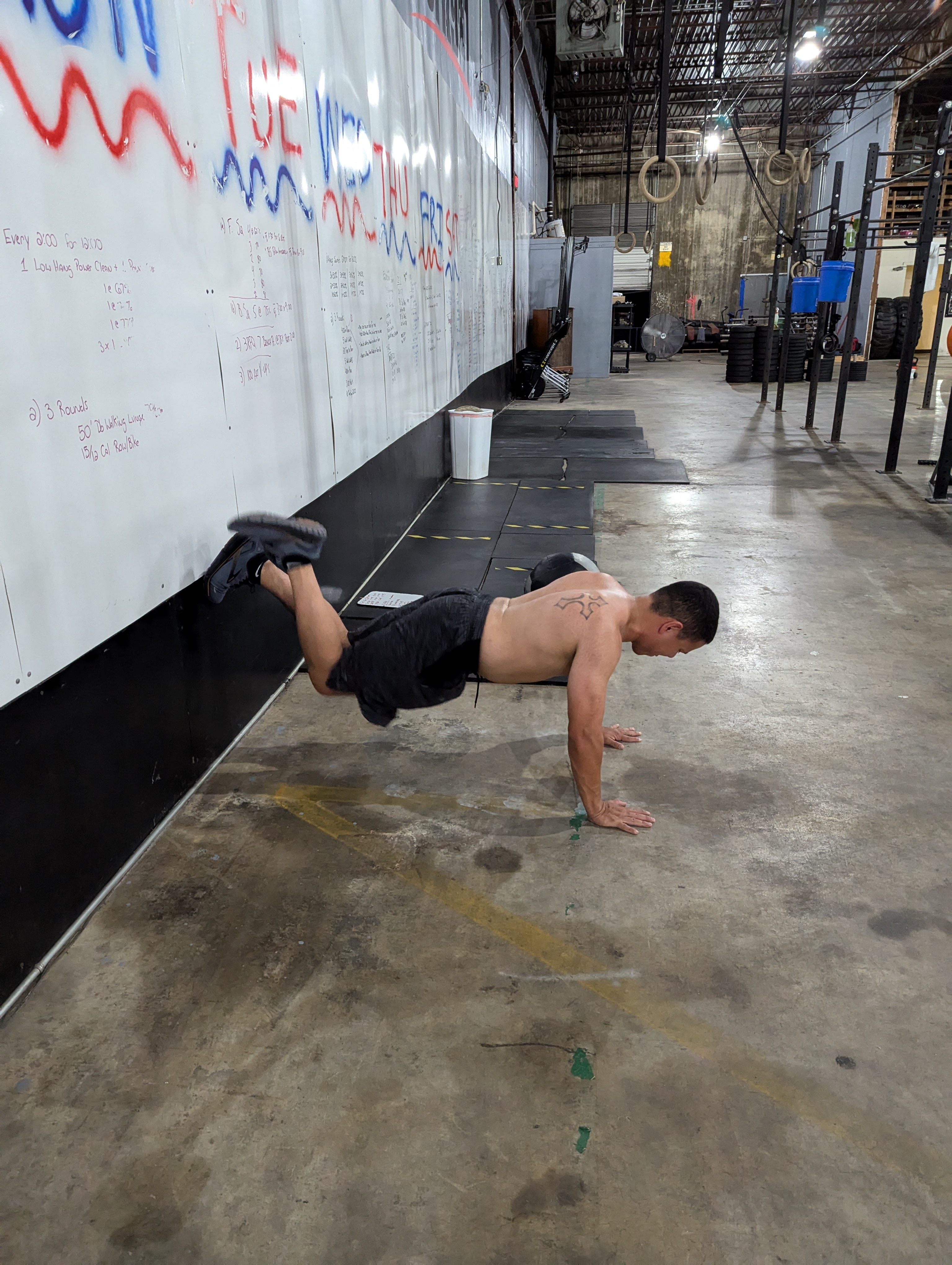 Alfaro starts wallwalk