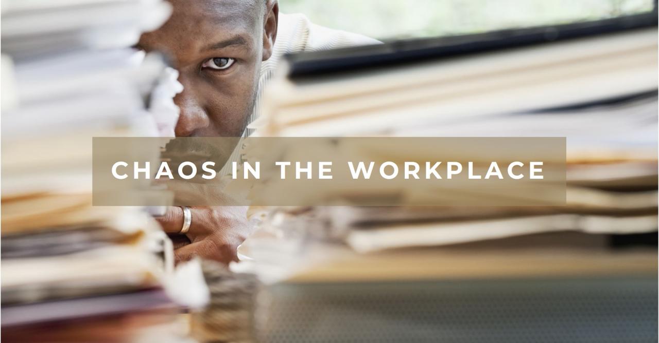 From Chaos to Confidence - Business Coaching Success Story