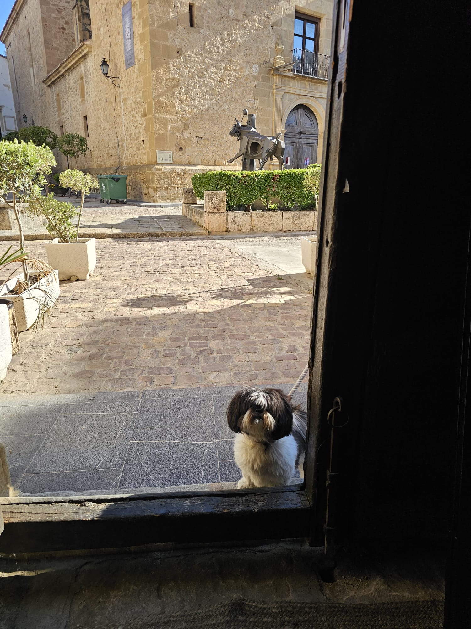 In Good Company: Travelling Europe’s Thermal Trails with Your Dog