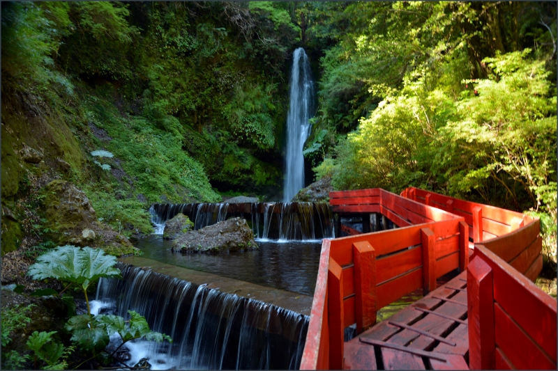 Geometric red walkways lead through forested steam to a series of serene, moss-lined thermal pools. Geometric red walkways lead through forested steam to a series of serene, moss-lined thermal pools.