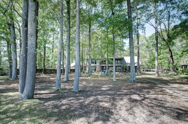 Image 19